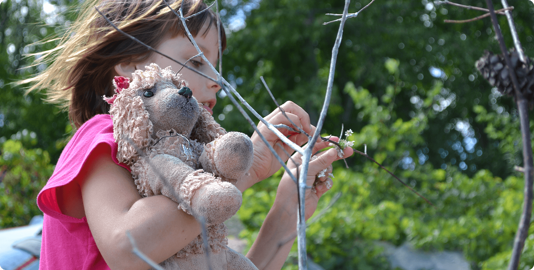 A child holding onto a teddy bear in the branches of a tree.